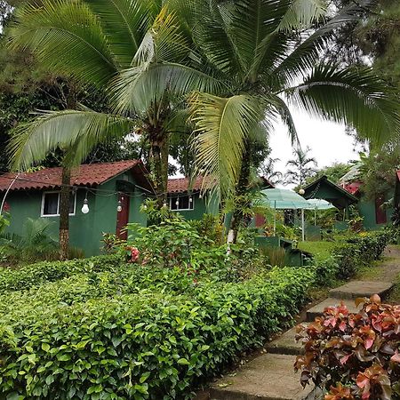 Los Pinos De Torio Extérieur photo