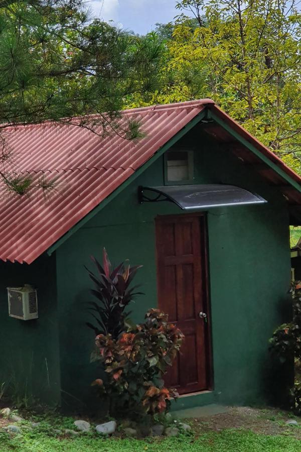 Los Pinos De Torio Extérieur photo