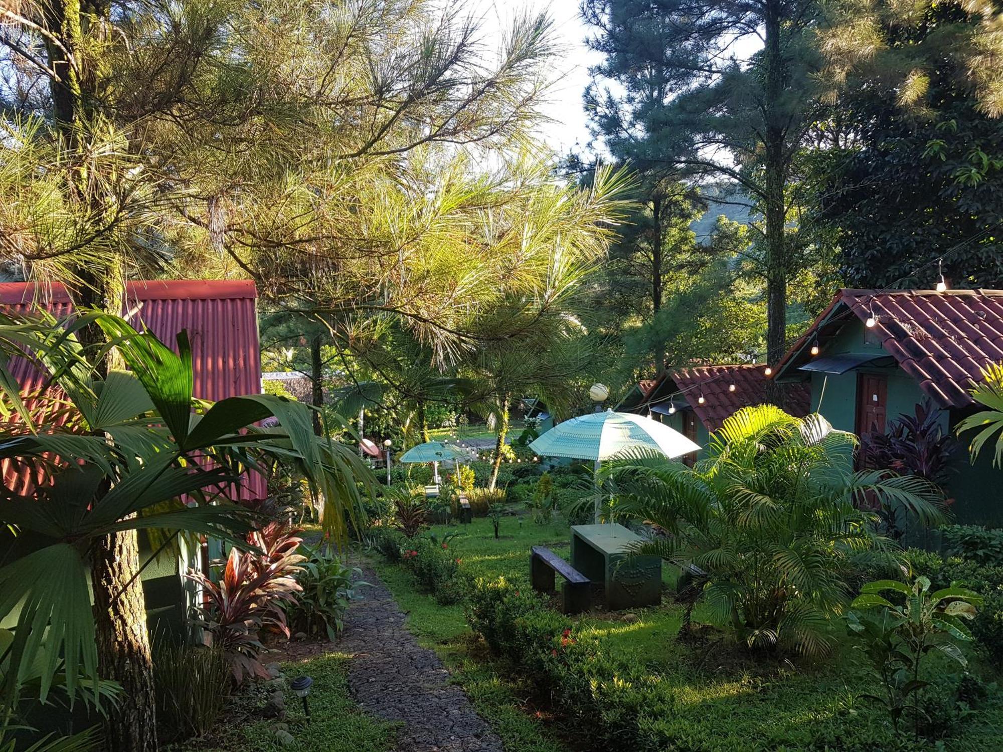 Los Pinos De Torio Extérieur photo