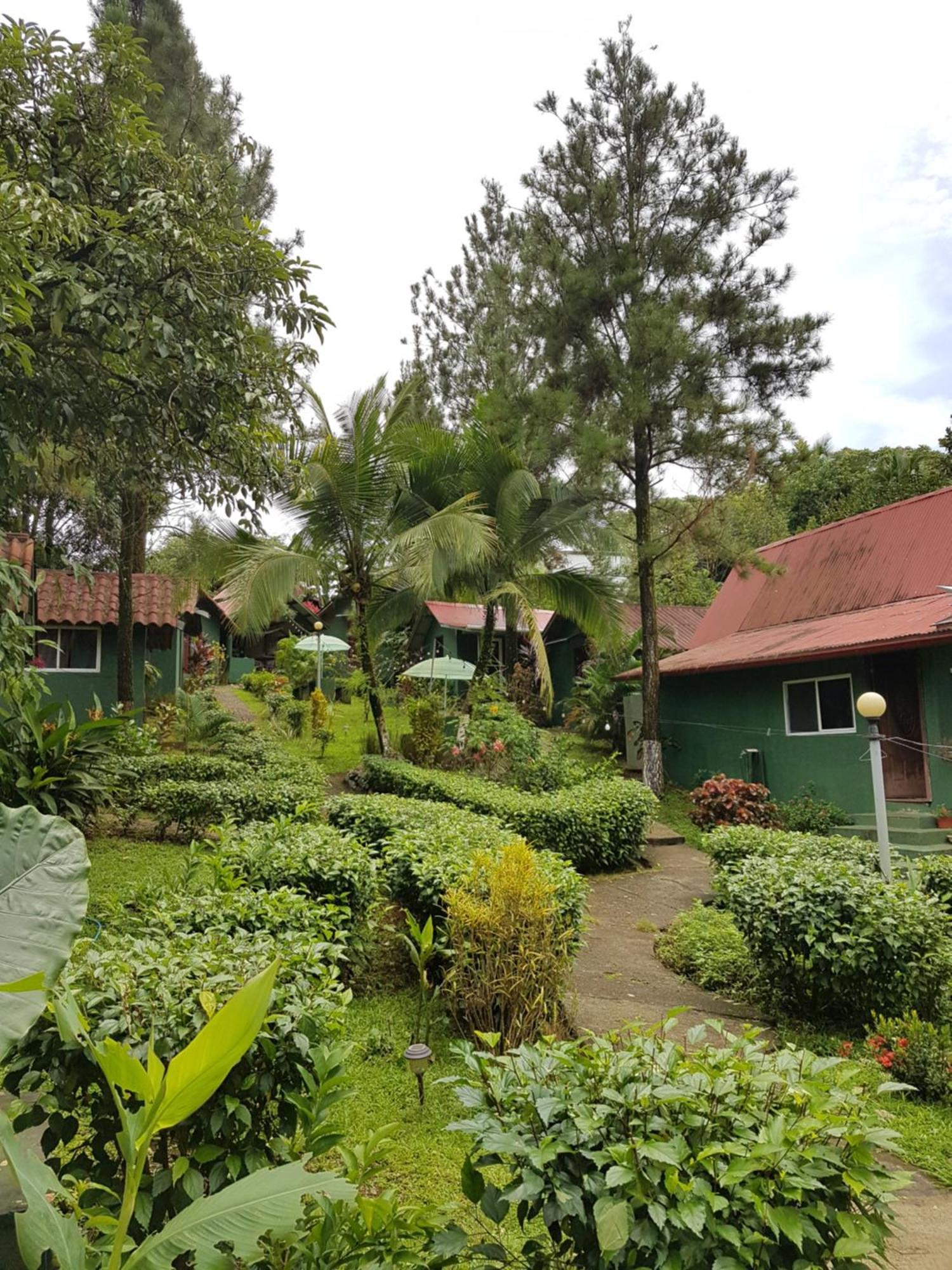 Los Pinos De Torio Extérieur photo