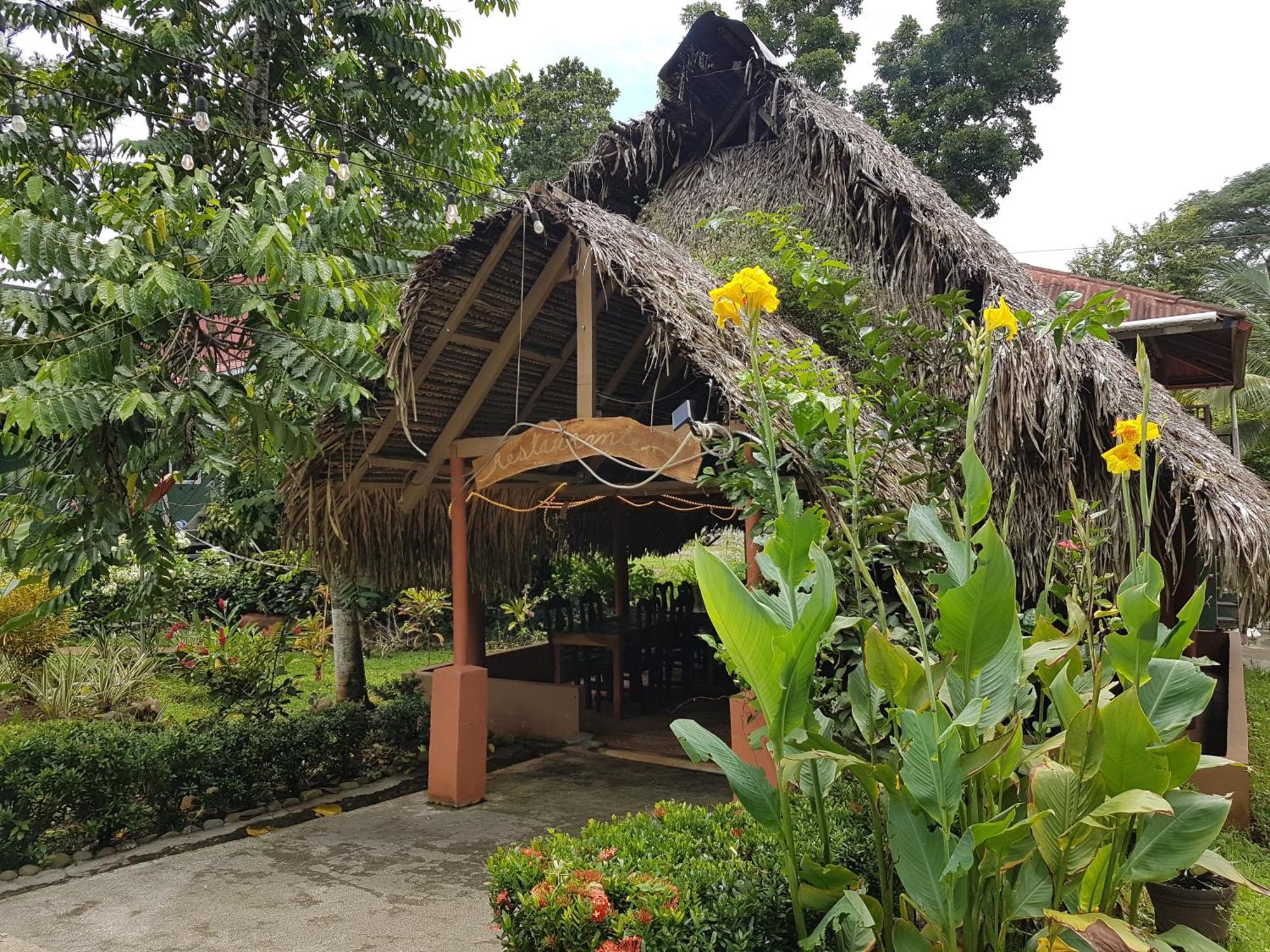 Los Pinos De Torio Extérieur photo