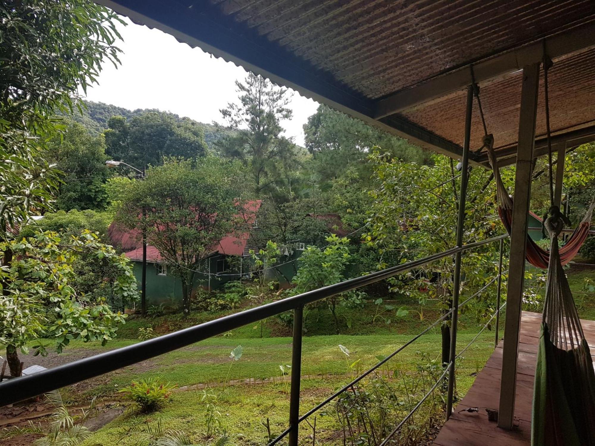 Los Pinos De Torio Extérieur photo