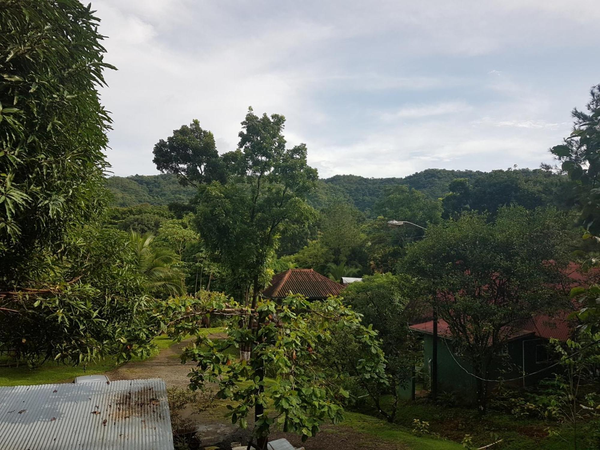 Los Pinos De Torio Extérieur photo
